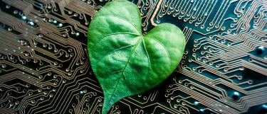 Heart-shaped leaf on a circuit board