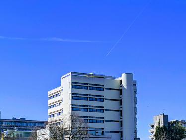 Außensicht des URZ-Gebäudes INF330 im Frühling